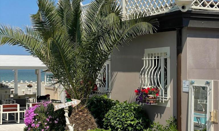 Jardin fleuri près de la mer, soleil éclatant, ambiance relaxante.